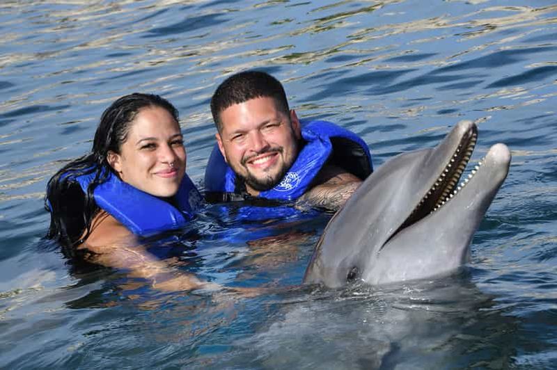 Billet Nage avec les dauphins et les lions de mer d'Ocean World à Puerto Plata