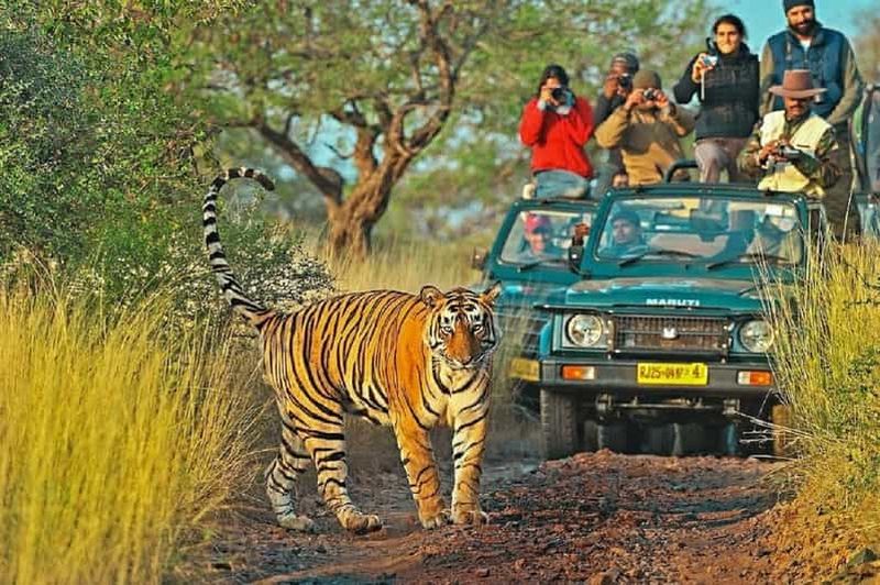 Billet Au départ de Delhi : 4 jours dans le Triangle d'Or et safari des tigres de Ranthambore