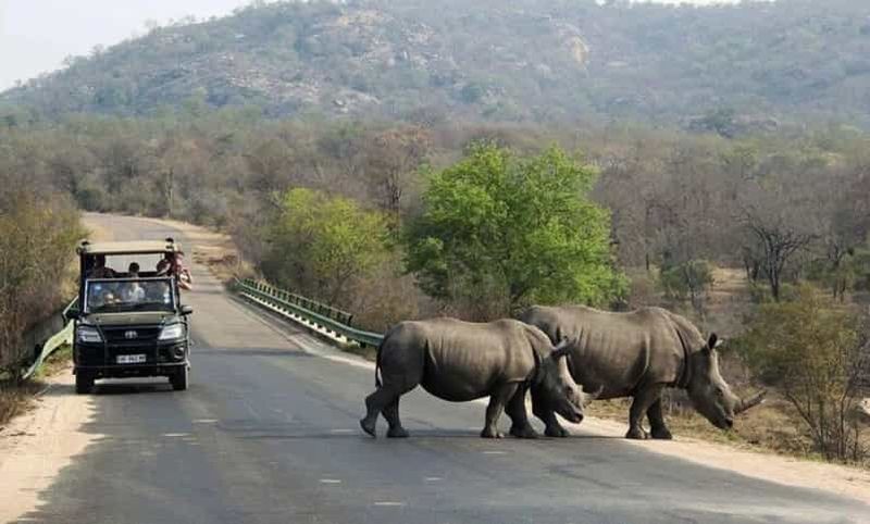 Billet Au départ de Johannesburg : circuit de 15 jours en 4x4 jusqu'au Cap