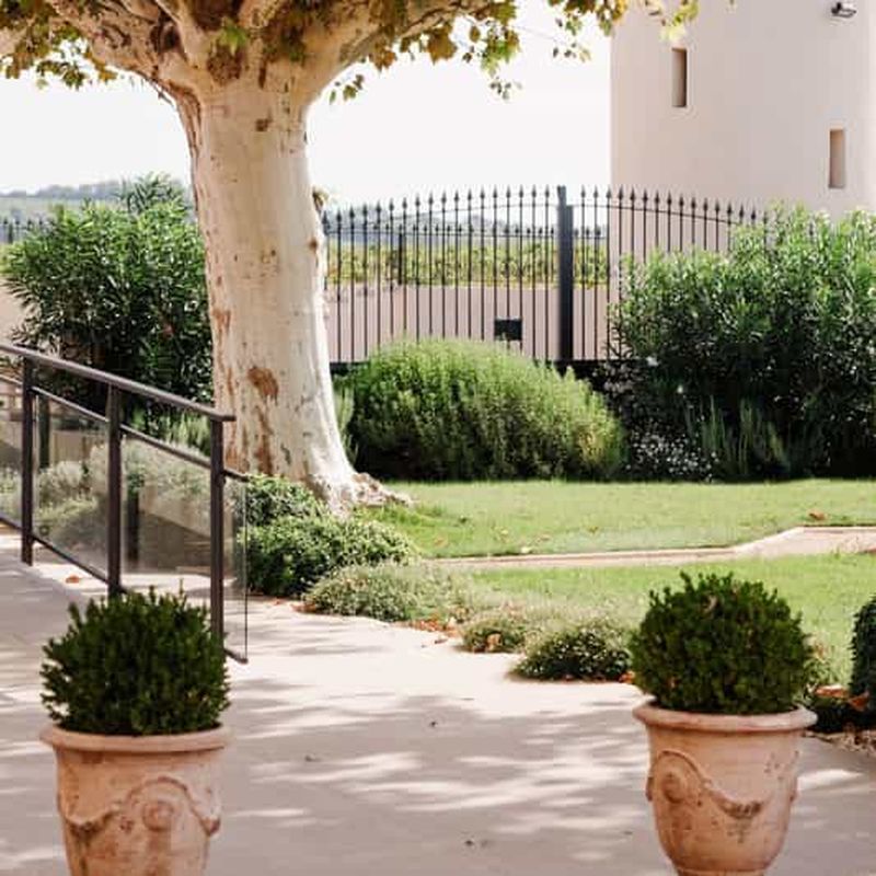 Billet Châteauneuf-du-Pape : visite/dégustation au cœur du Domaine Tour St Michel