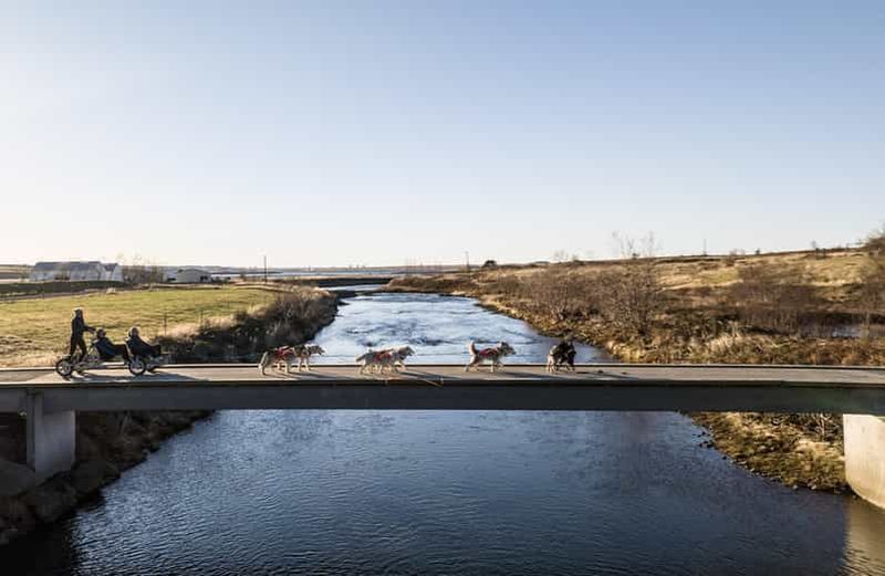 Billet Balade en traîneau à chiens près de Reykjavik