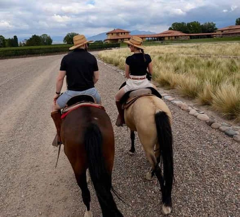 Billet Mendoza : balade à cheval dans les vignobles et dégustation