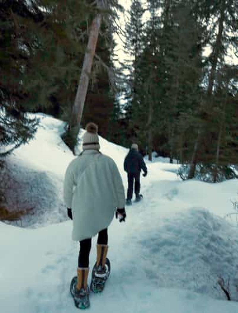 Billet Vancouver : raquettes à neige ou ski en soirée au parc olympique de Whistler