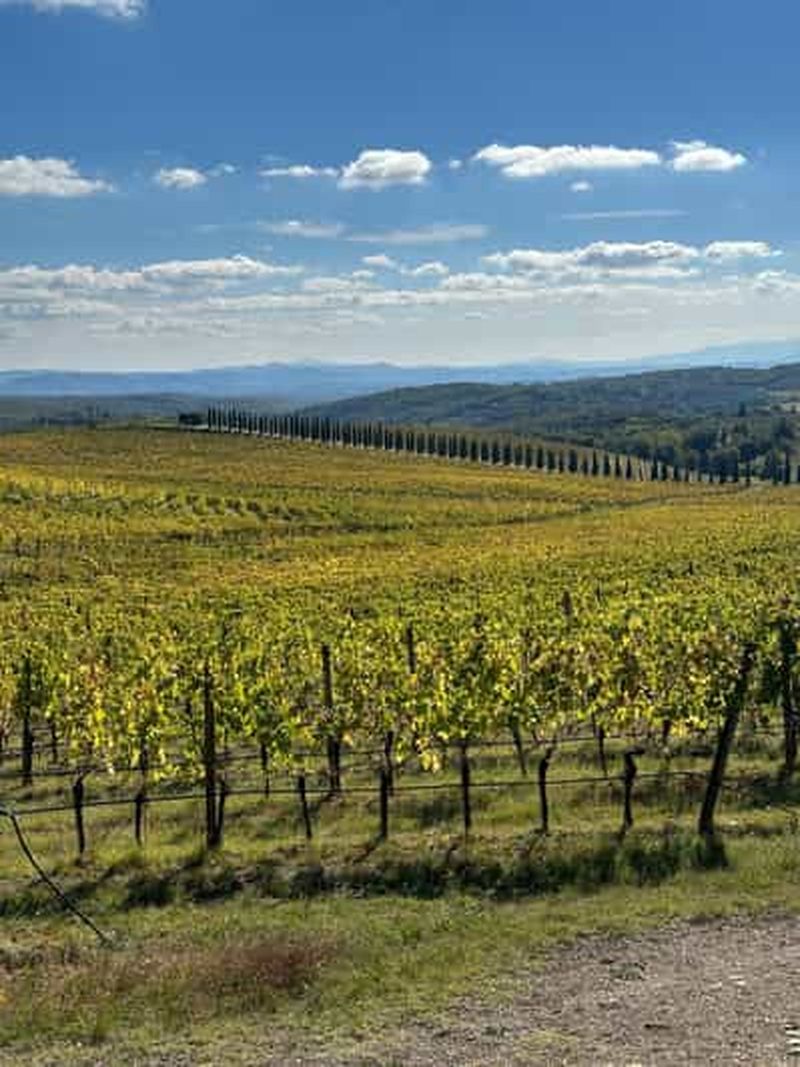 Billet Sienne : visite guidée à vélo