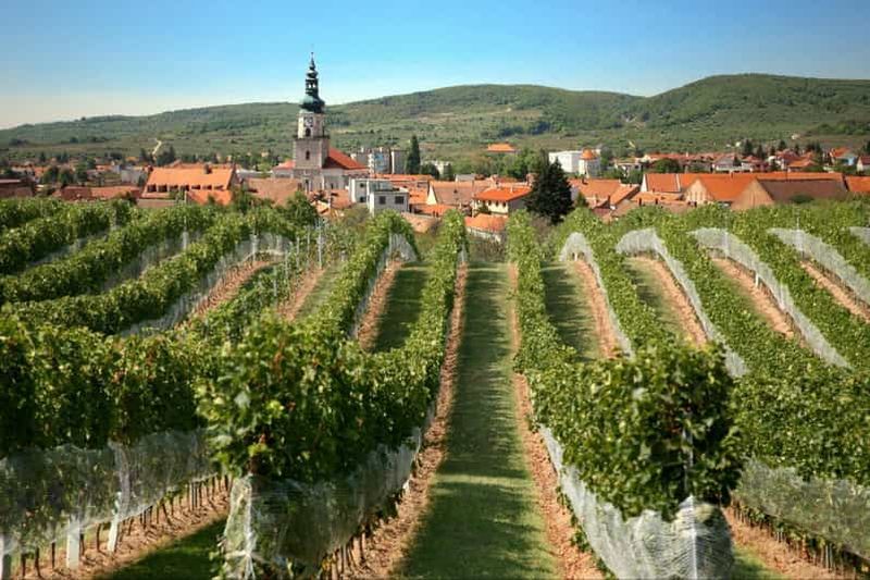 Billet Bratislava : 6,5 heures de visite et de dégustation des vins des Carpates
