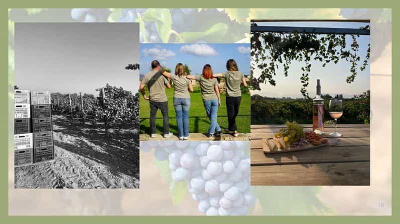 Billet Majorque : visite des vignobles et de la cave Butxet avec dégustation