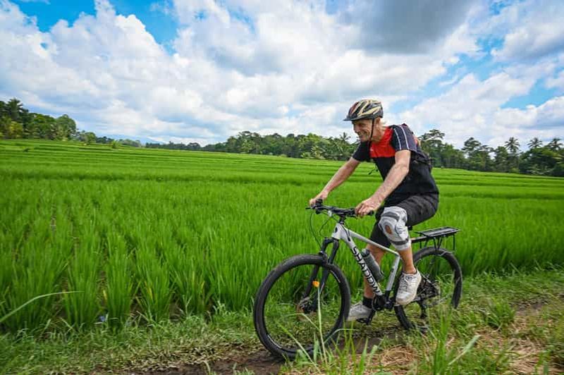 Billet Ubud Sud: Tour en VTT Électrique - Cœur des Rizières - Demi-journée (Privé)