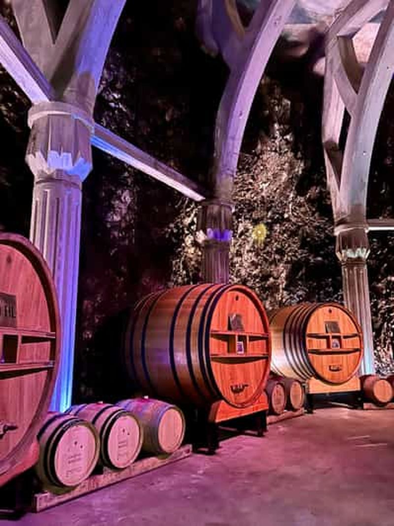 Billet Visite privée dans les Alpilles, dégustations de vins et restaurant local