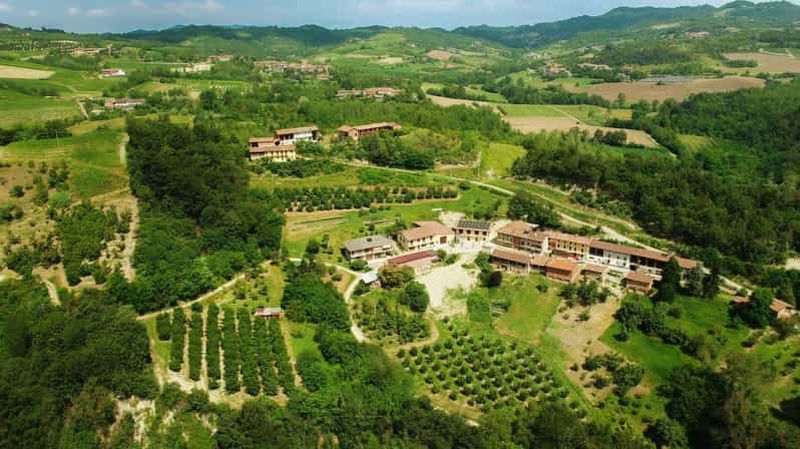 Billet Albugnano : visite d'un domaine viticole du Monferrato avec dégustation de vin