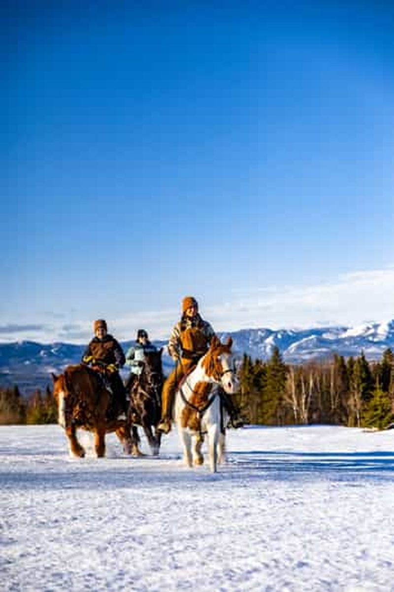 Billet La Bleuetière : une introduction charmante à l'équitation