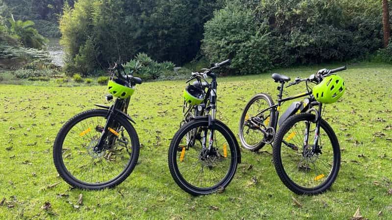 Billet Depuis Nairobi : visite caféière panoramique à vélo électrique
