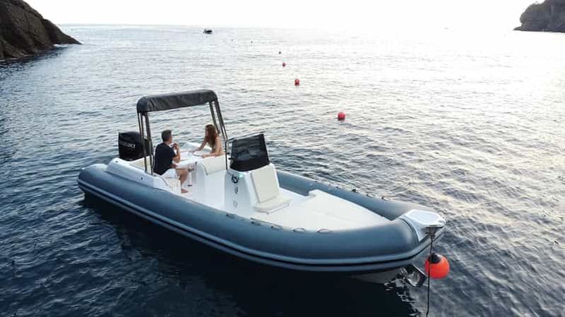 Billet Tour en bateau privé Gênes Portofino