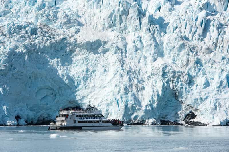Billet Seward : croisière prolongée vers les glaciers du parc national de Kenai Fjords