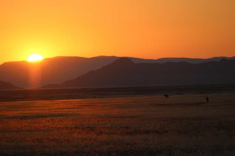 Billet Visite guidée de 4 jours à Swakopmund et Sossusvlei