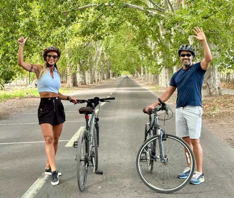 Billet Mendoza : visite œnologique et balade à vélo dans les vignobles au pied des Andes