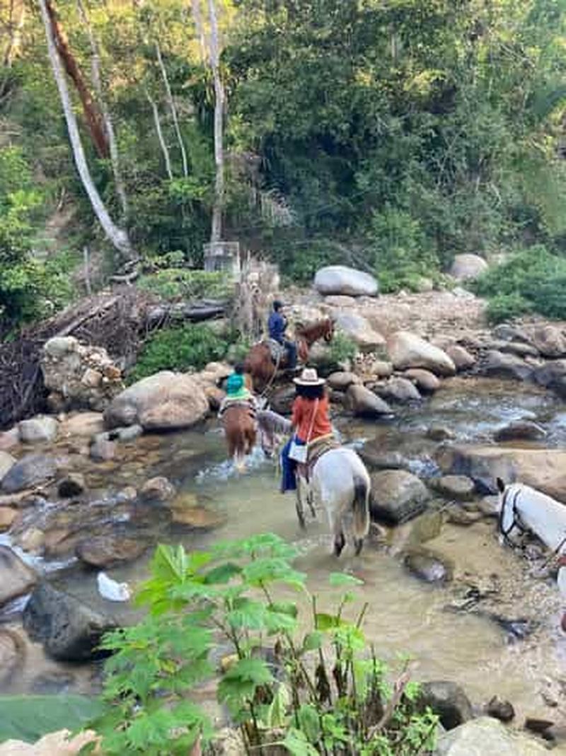 Billet Puerto Vallarta : Promenade à cheval à El Eden