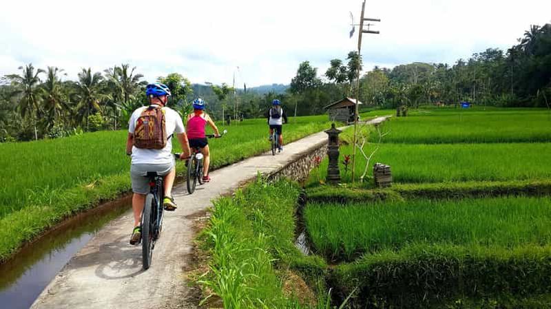 Billet Ubud : visite d'une demi-journée à vélo électrique à Tegallalang