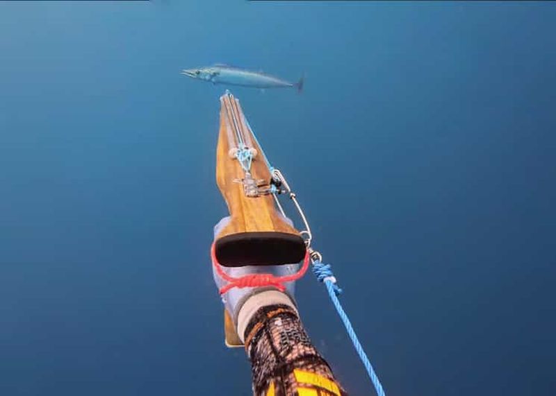 Billet Amed : pêche sous-marine, plongée en apnée et pêche-cuisine