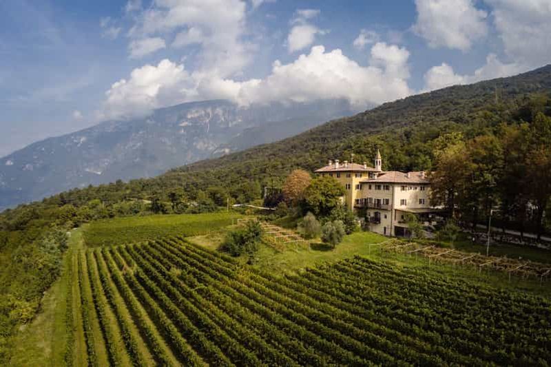 Billet Œnotour au Borgo dei Posseri : vin, nature et authenticité