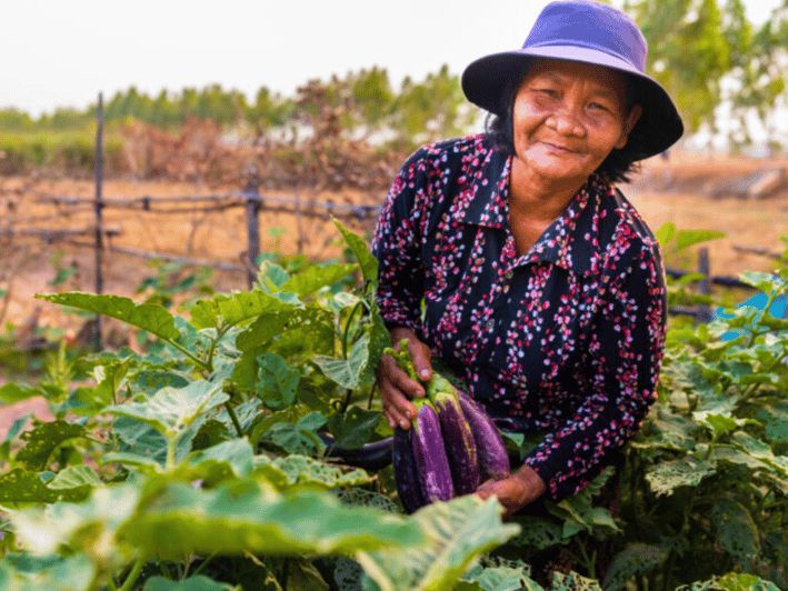 Billet Siem Reap : vie de village et cuisine khmère de la ferme à la table