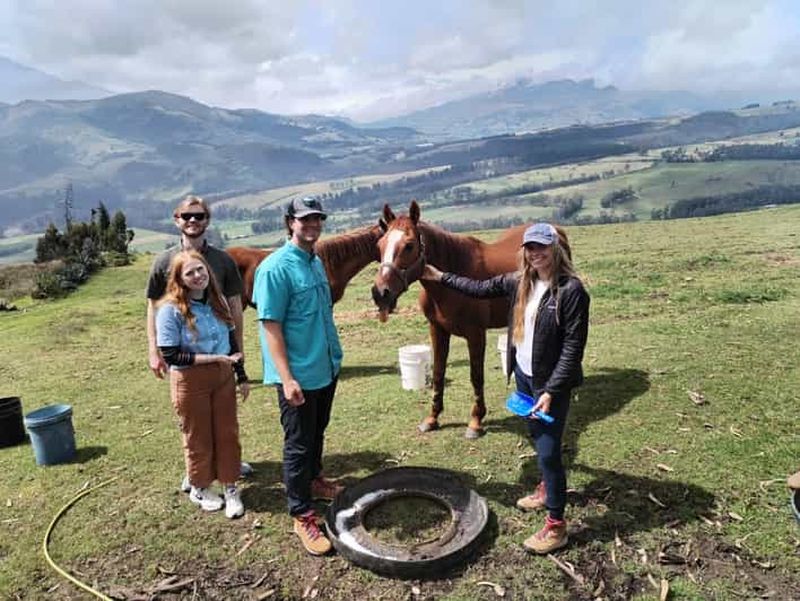 Billet Une journée avec des chevaux sauvés – Thérapie équine