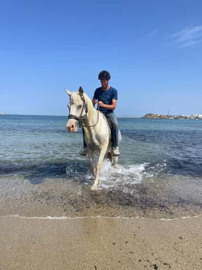 Billet Naxos : équitation