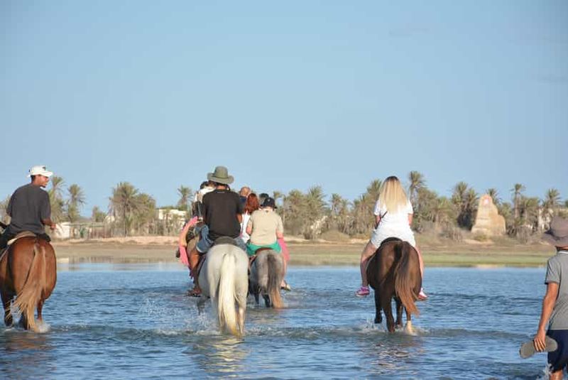 Billet Djerba : balade à cheval de 2 heures sur la plage et les sentiers berbères
