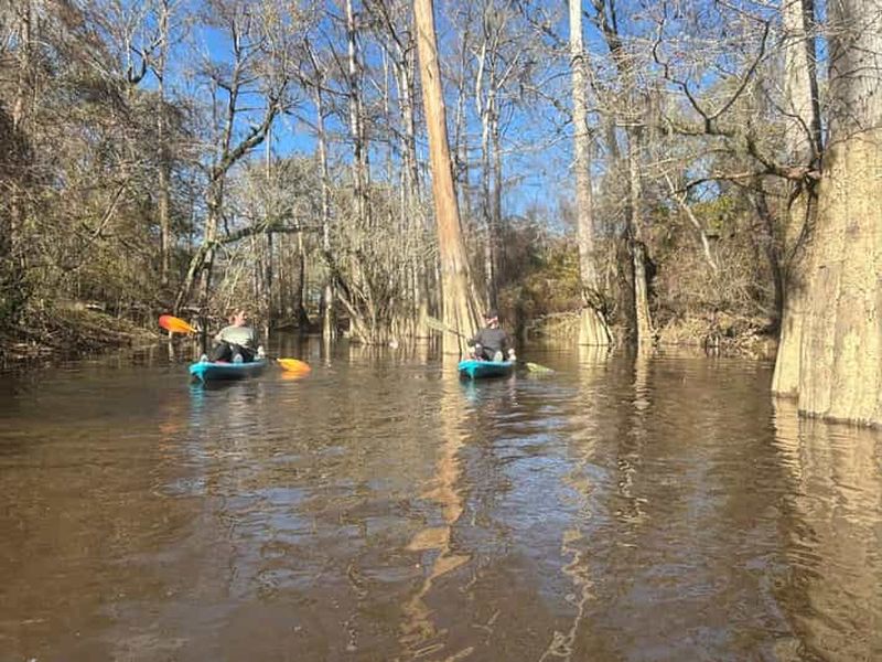 Billet Excursion en kayak dans les marais de Honey Island