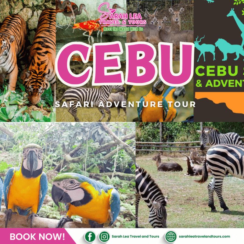Billet Cebu : expérience safari et aventure