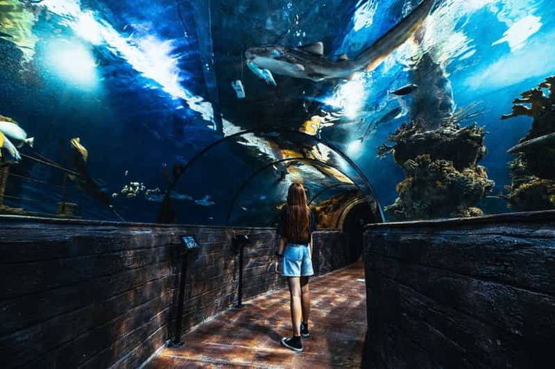 Billet Baie de St Paul : billet d'entrée à l'aquarium national de Malte