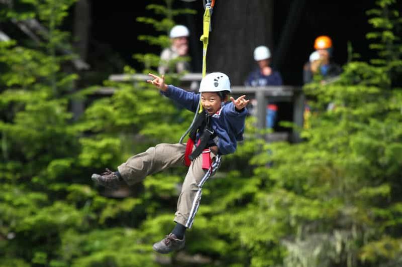 Billet Expérience en tyrolienne à Whistler : Tour de l'ours Ziptrek