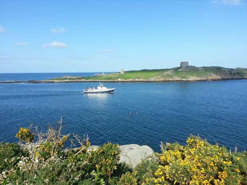 Billet Dublin : croisière vers Dun Laoghaire et l'île de Dalkey