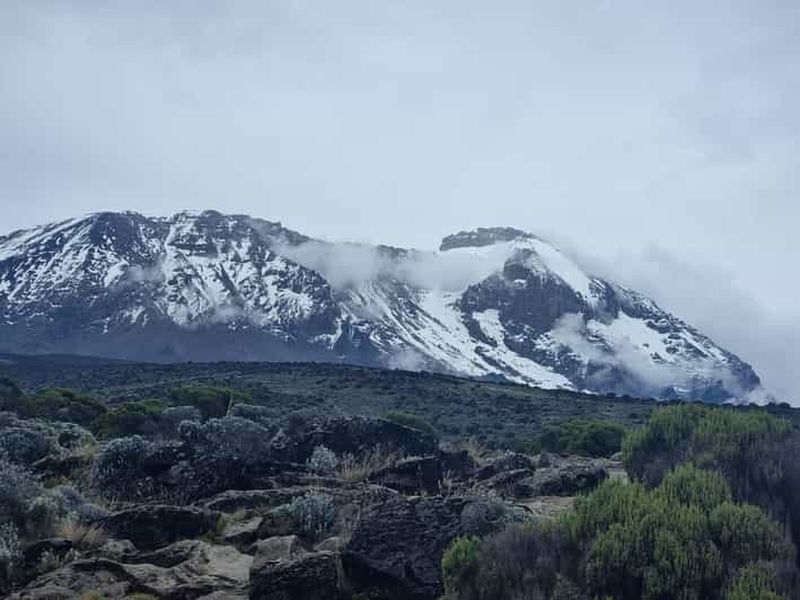 Billet #1. Meilleure journée de randonnée sur le Kilimandjaro - Marangu Route-ISMANI TOURS