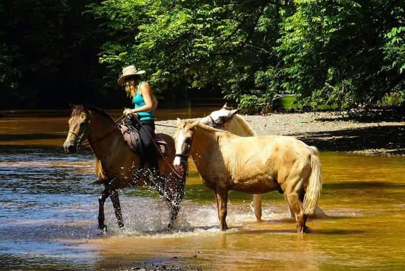 Billet Guanacaste : Safari à cheval dans la jungle