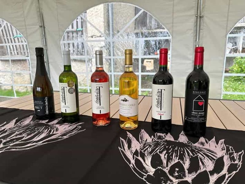 Billet Bergerac : dégustation de vins au Château Lestevenie