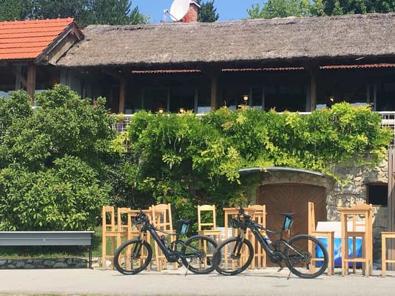 Billet Krapinske Toplice : visite en vélo électrique et dégustation de vins à Vuglec Breg