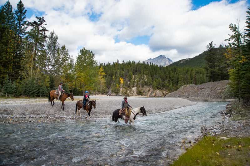 Billet Parc national de Banff : Promenade à cheval d'une heure sur la rivière Spray