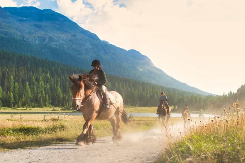 Billet Lake District : expérience équestre avec des chevaux lourds
