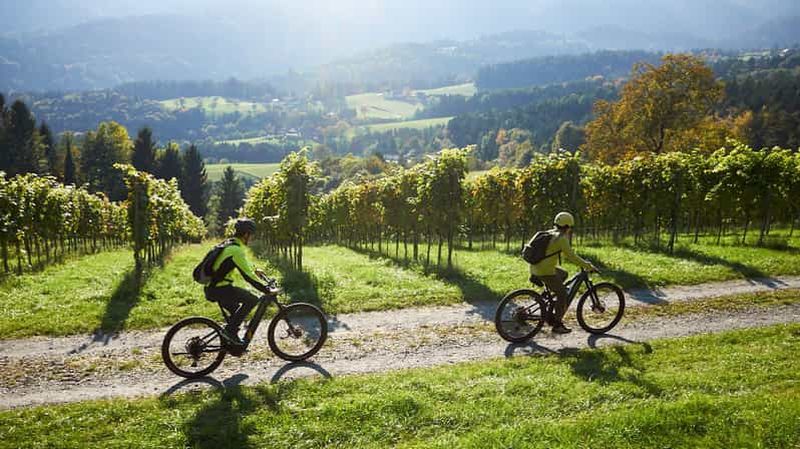 Billet Visite du Schilcherland en vélo électrique avec dégustation de vin exclusive