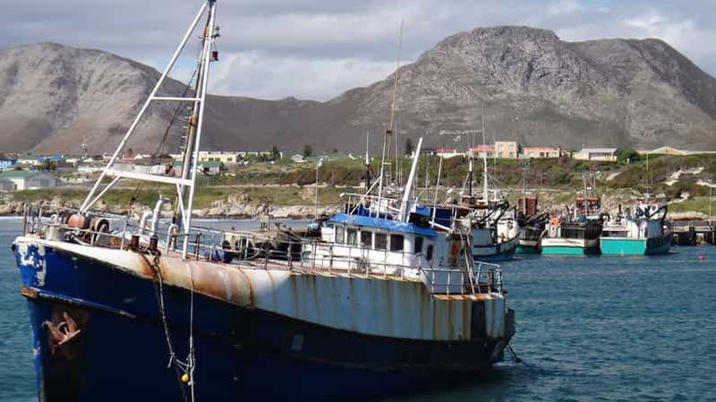 Billet Le Cap : plongée avec les requins au port de Gansbaai