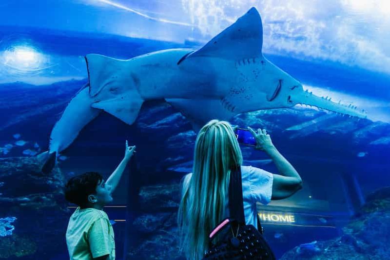 Billet Dubaï : Aquarium et Burj Khalifa Niveaux 124 et 125 Billet combiné