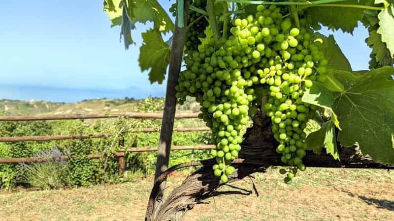 Billet Tropea : Cours de cuisine calabraise avec déjeuner