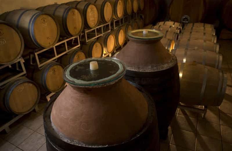 Billet Visite de cave avec dégustation de vins et mets près de Riccione et Rimini