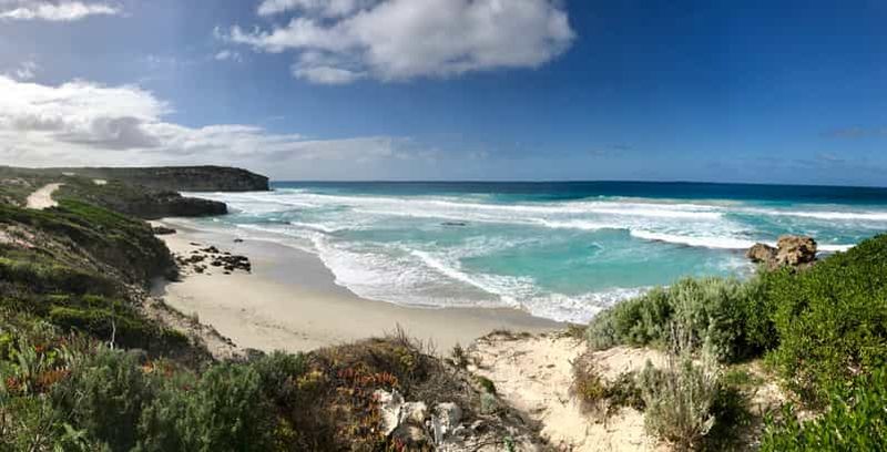 Billet Penneshaw : Excursion à terre sur l'île de Kangourou (Kangaroo Island Scenic Tour)
