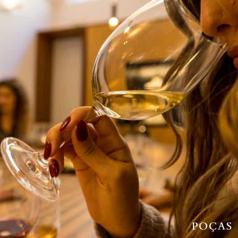 Billet Vila Nova de Gaia : visite de vignobles avec 2 DOC Douro et 1 Porto