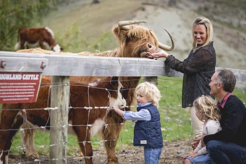 Billet Queenstown : Croisière sur le lac de Queenstown et visite de la ferme Walter Peak