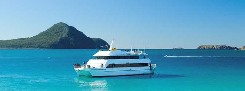 Billet Port Stephens : dauphins, déjeuner, koalas et sandboard (mandarin)