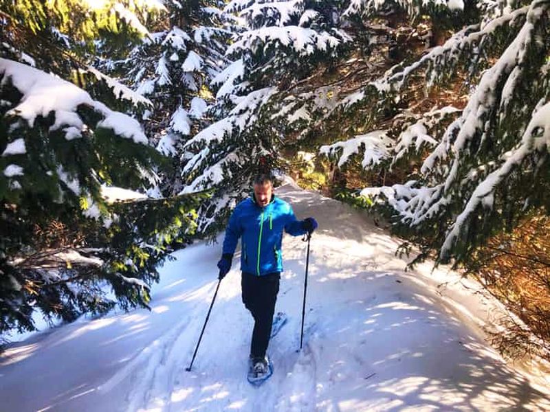 Billet Allgäu : aventure de randonnée en raquettes