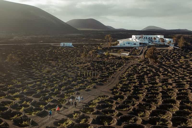 Billet Lanzarote : Visite d'un vignoble avec dégustation de vin et de chocolat