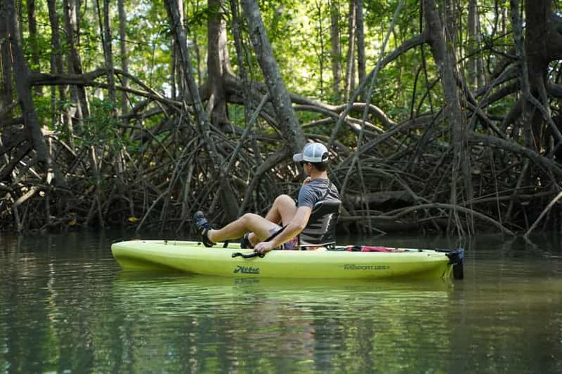 Billet Manuel Antonio : safari en kayak à pédales Hobie dans la mangrove